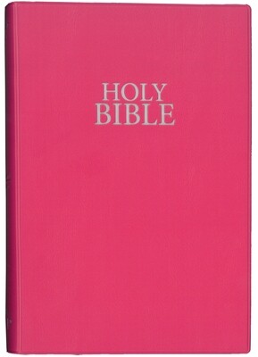 NIV VINYL CERISE PINK BIBLE