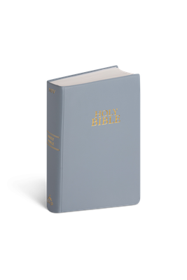 NIV GIANT PRINT VINYL STEEL BLUE BIBLE NIV GIANT PRINT VINYL STEEL BLUE BIBLE
