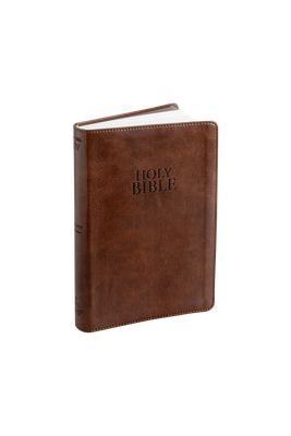 NIV BROWN LEATHER TOUCH BIBLE