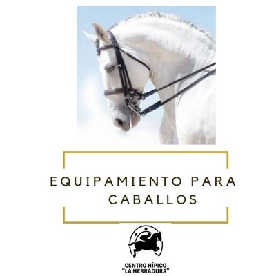 Equipamientos para caballos