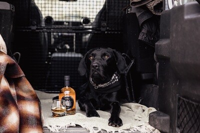 For the Whisky Lover - Kenton Park Estate XII - 12 Year Old Highland Whisky - (Gift Wrapped)