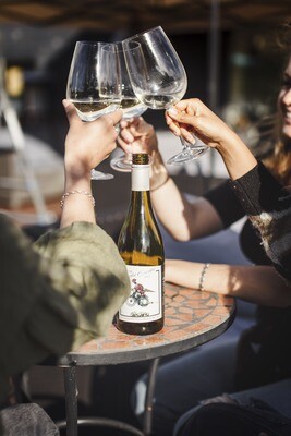 The Motley Box - 3 Bottle Mixed Case (Gift Wrapped)