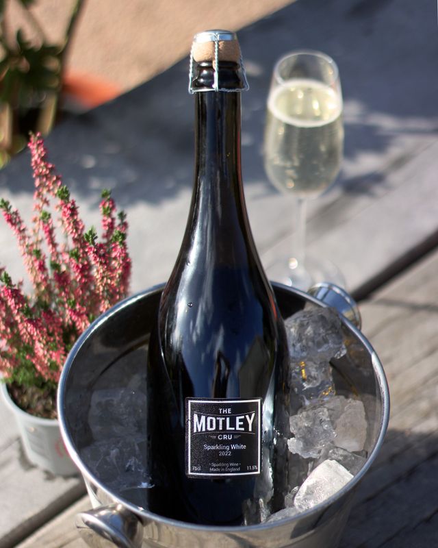 &quot;Cheeky Fizz&quot; The Motley Cru 2023 Sparkling White