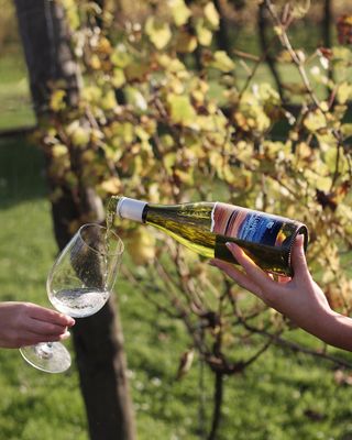 Magical Mists Solaris