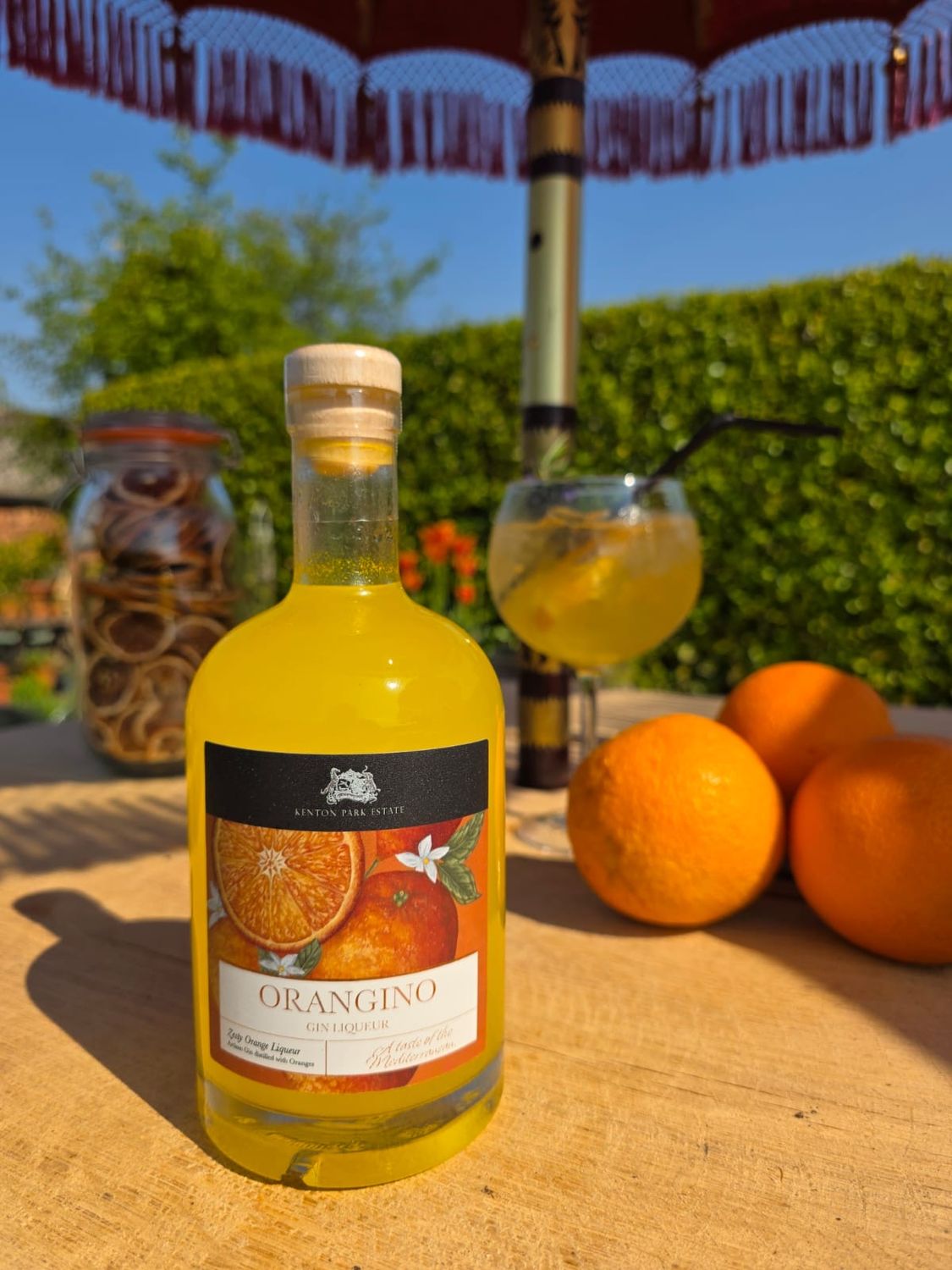ORANGINO