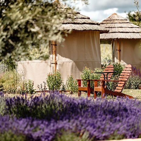 Wine Safari Experience Gift Voucher for 2 x people