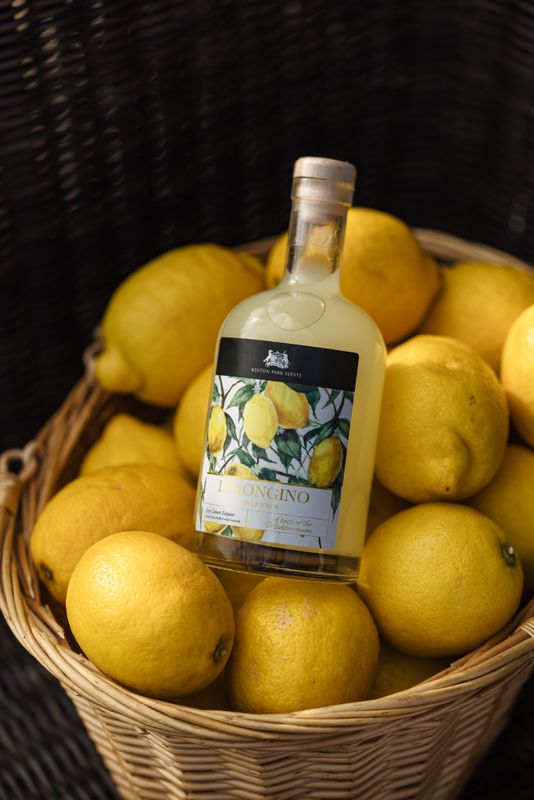 LIMONGINO - Gin Liqueur  50cl, 22% Vol