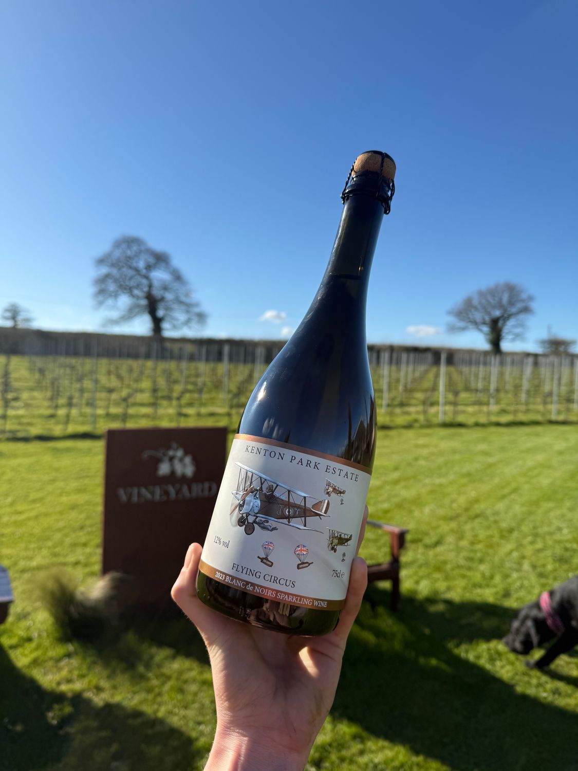 Flying Circus Blanc de Noirs