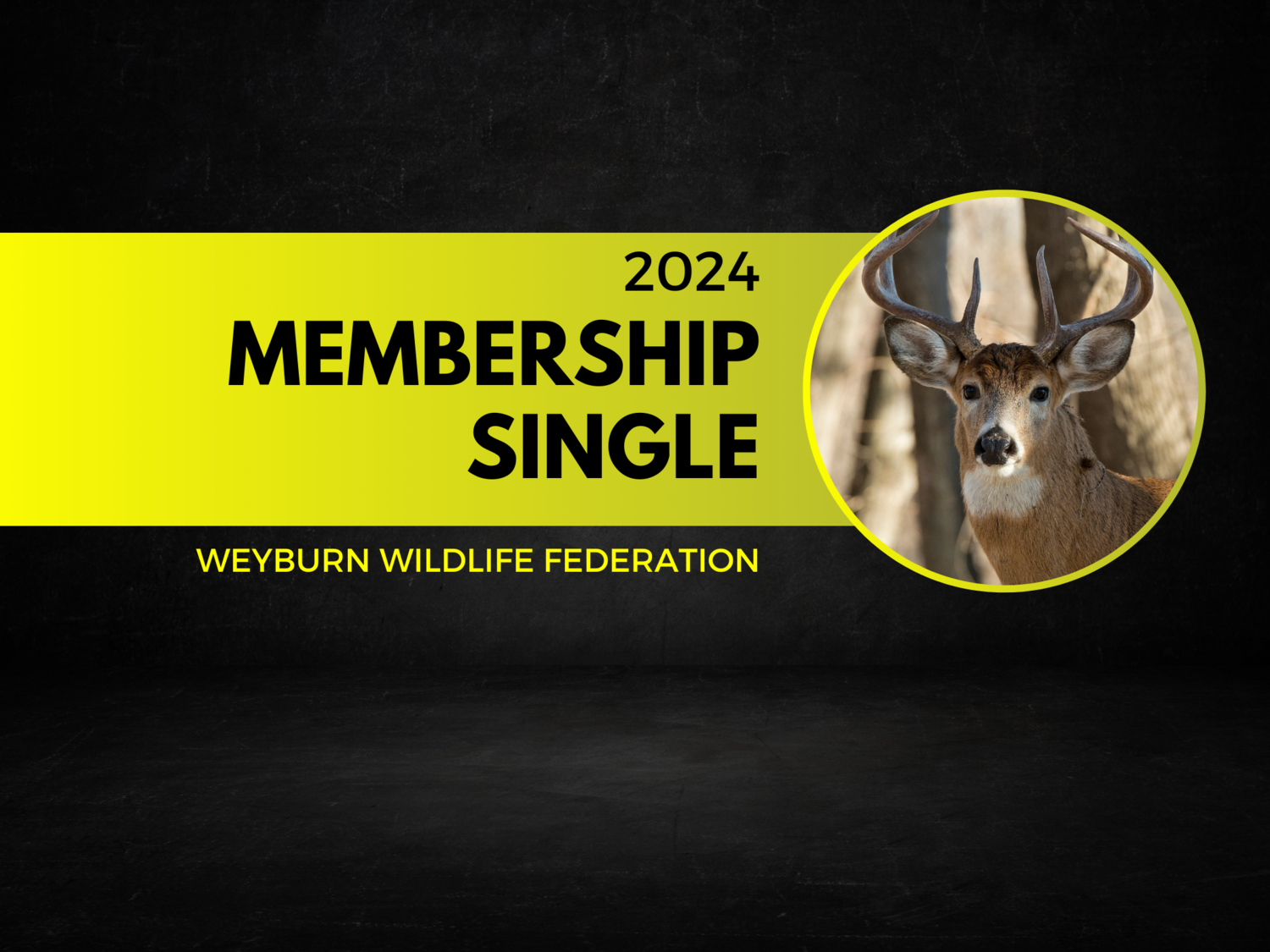 Single Membership