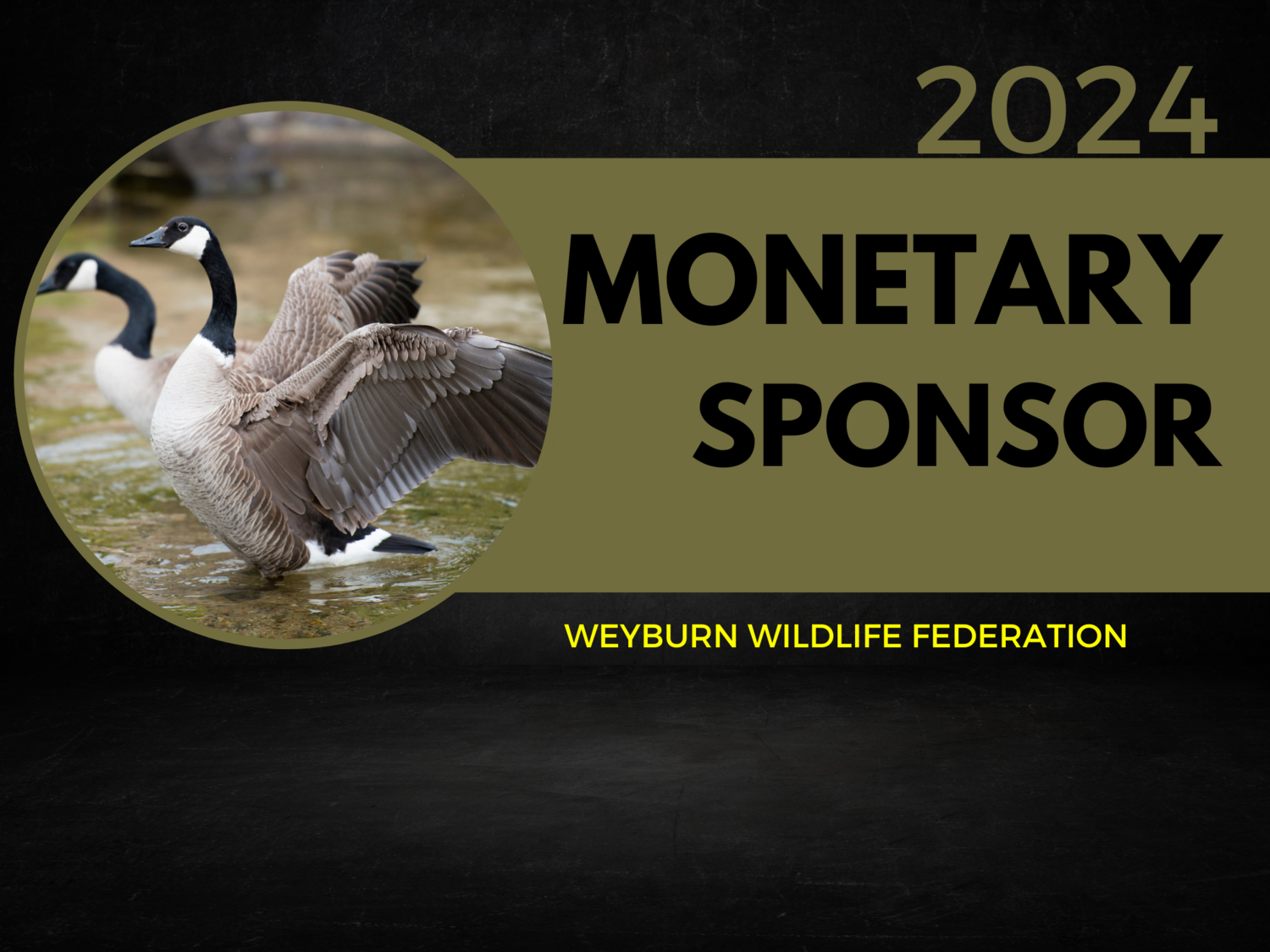 Monetary Sponsor