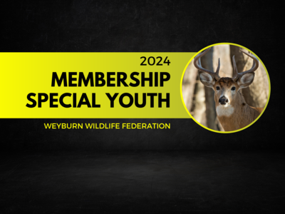 Special Youth Membership
