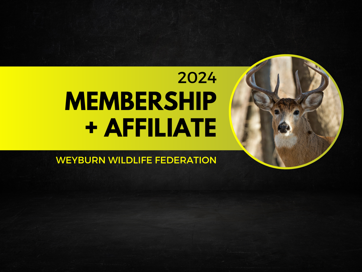 Affiliate Membership