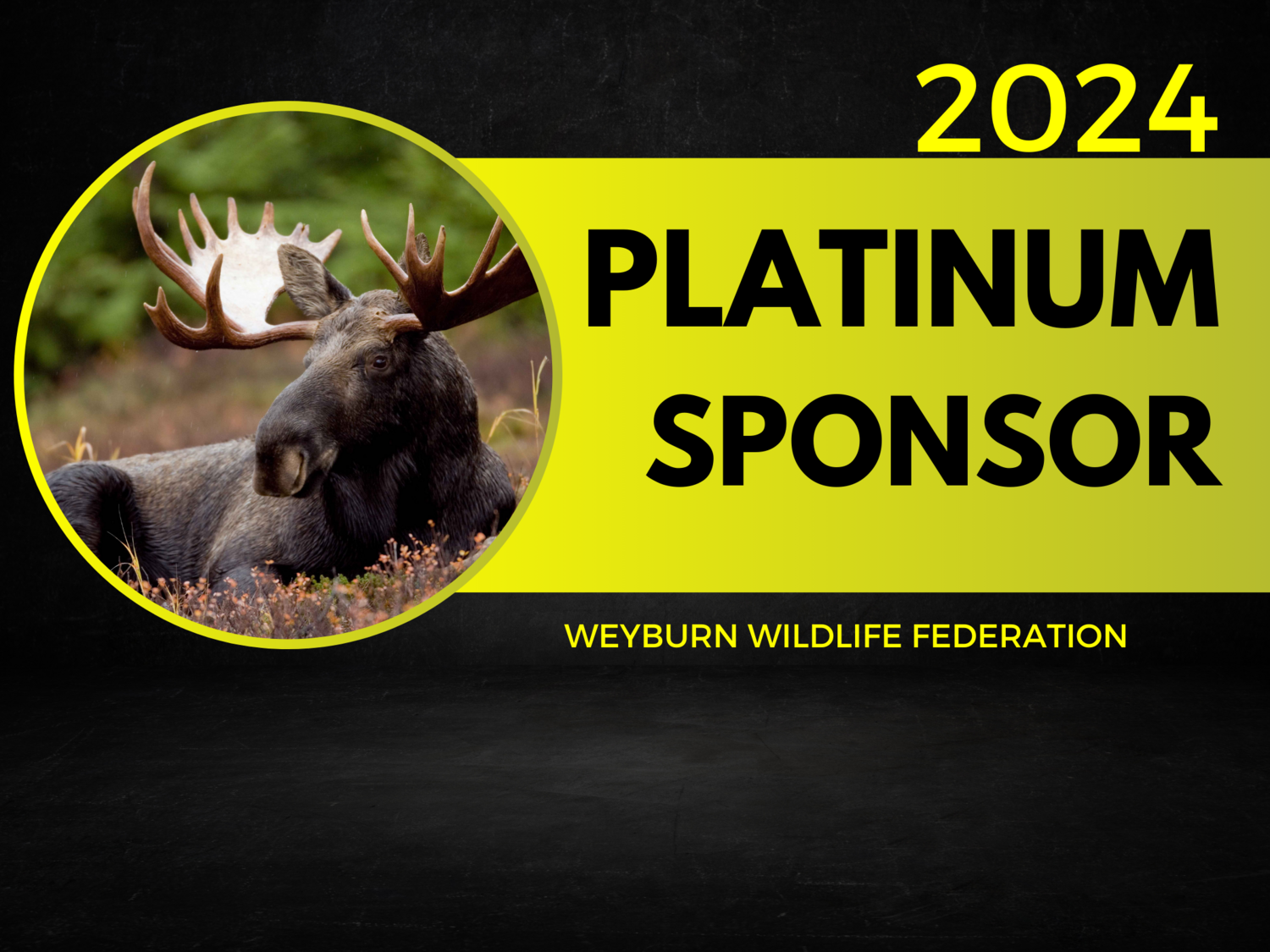 Platinum Sponsorship