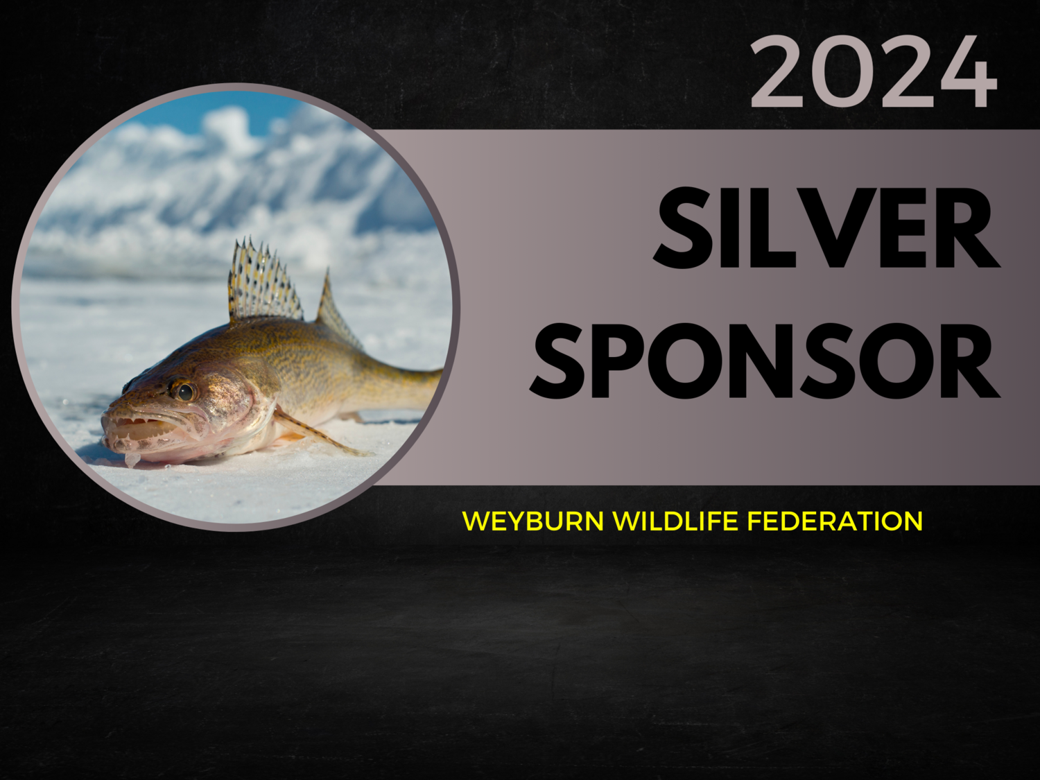 Silver Sponsor