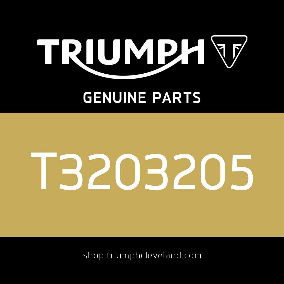 Triumph Genuine OEM Replacement M8 X 50 Screw - T3203205