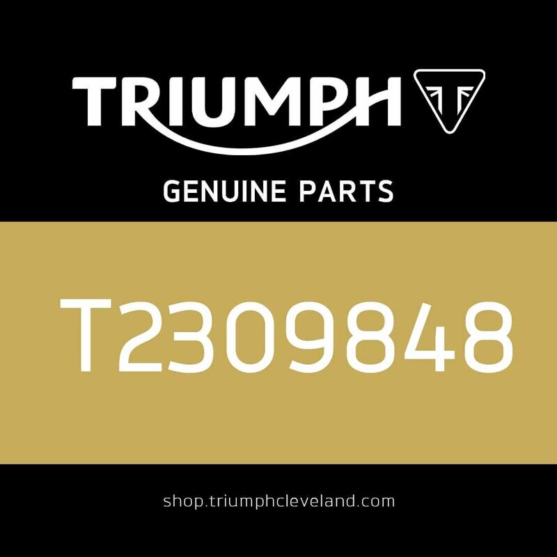 Triumph Genuine OEM Rear Subframe Infill Panel - T2309848