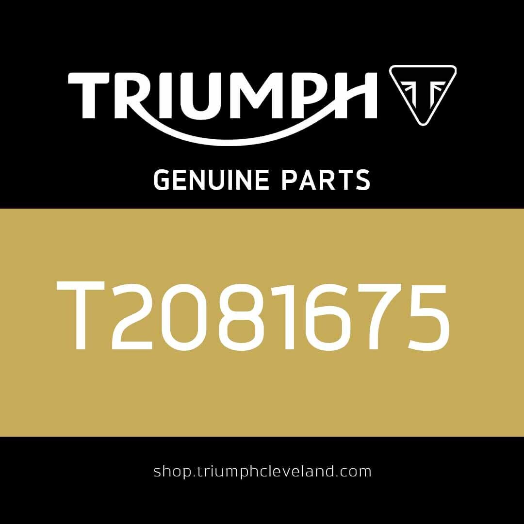Triumph Genuine OEM Detent Ball - T2081675