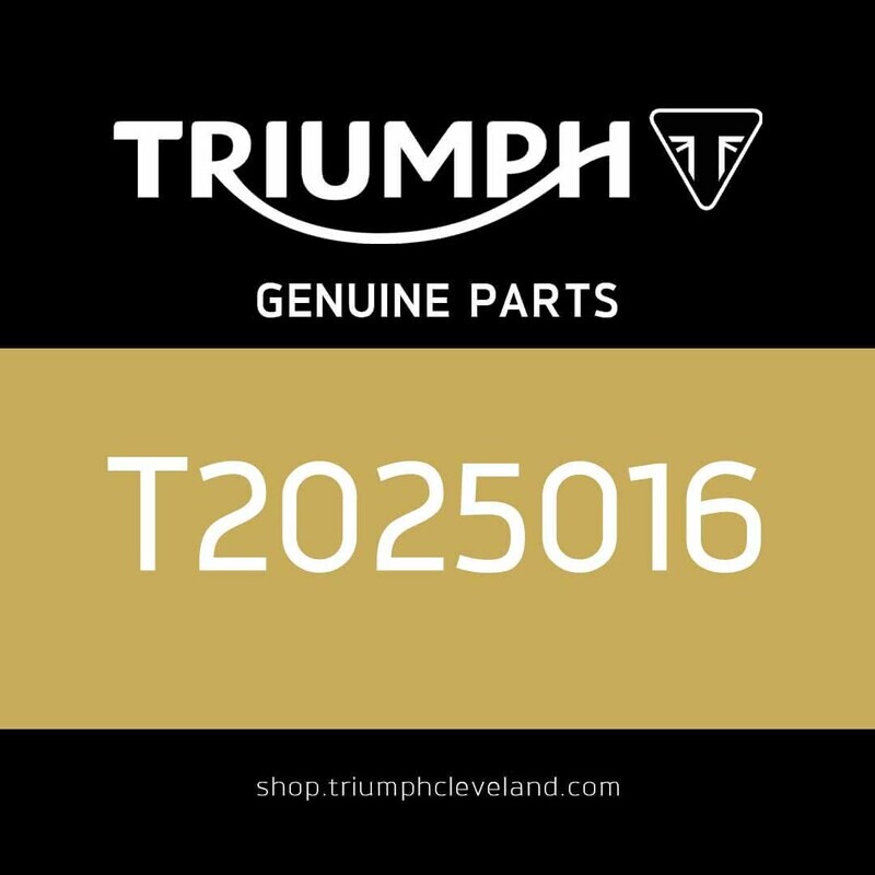 Triumph Genuine OEM Rear Brake Pad Set - T2025016