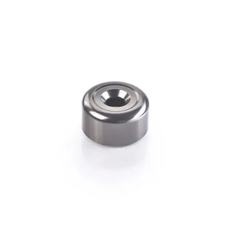 Triumph Gray Bar End Finisher Kit - A9630434