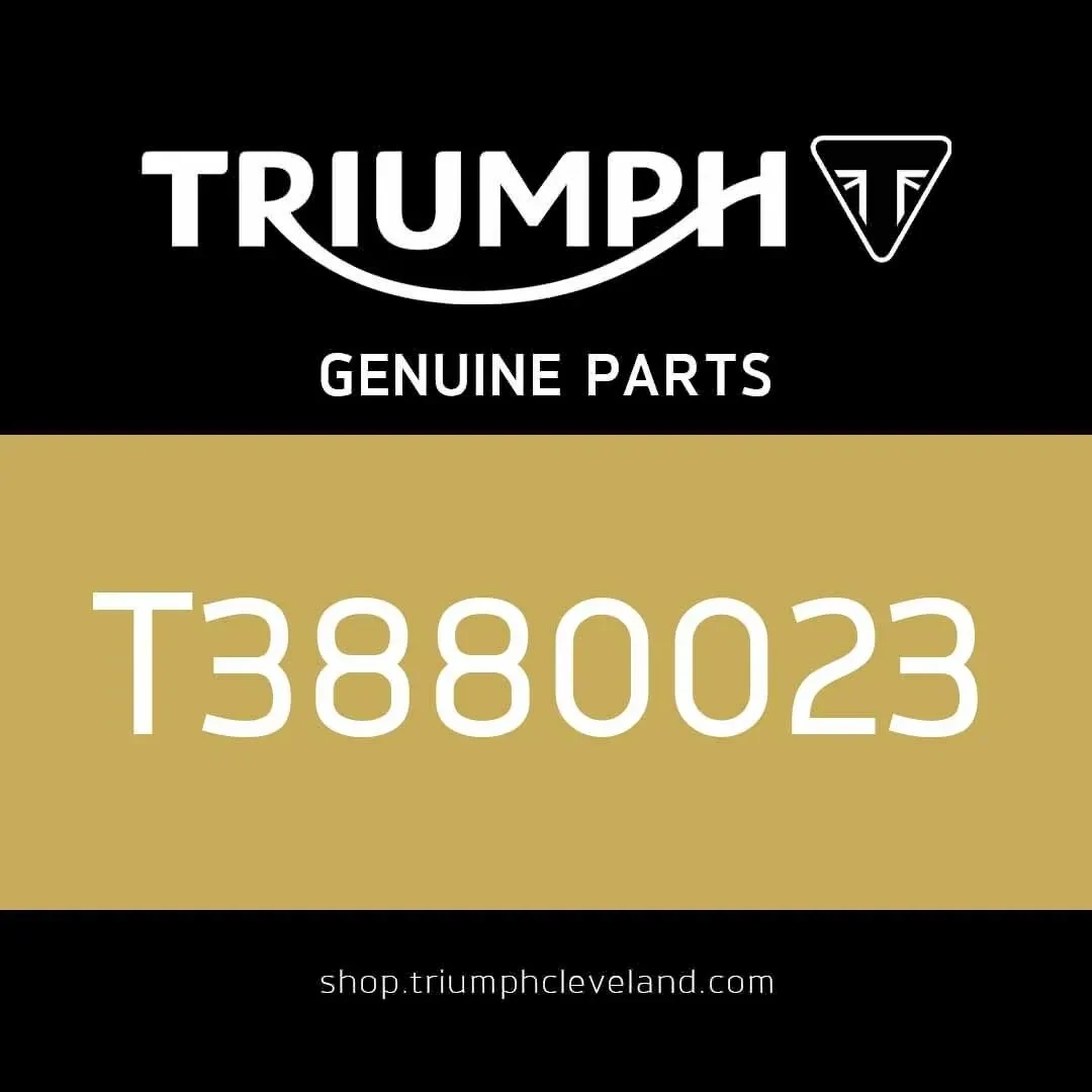 Triumph OEM 50 mm Socket - T3880023