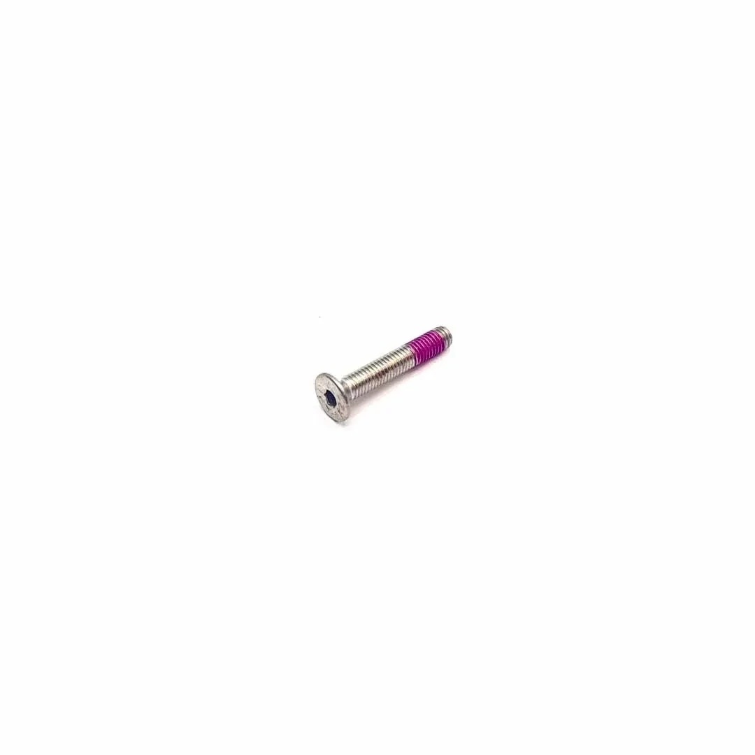 Triumph Genuine OEM M5 x 30 Patch Screw - T3330643
