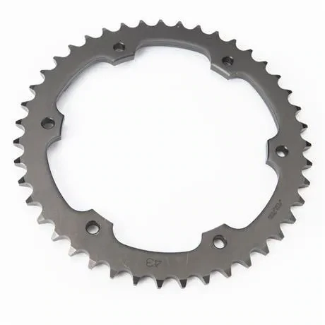 Triumph Speed Triple 43 Tooth Rear Sprocket - T2010184