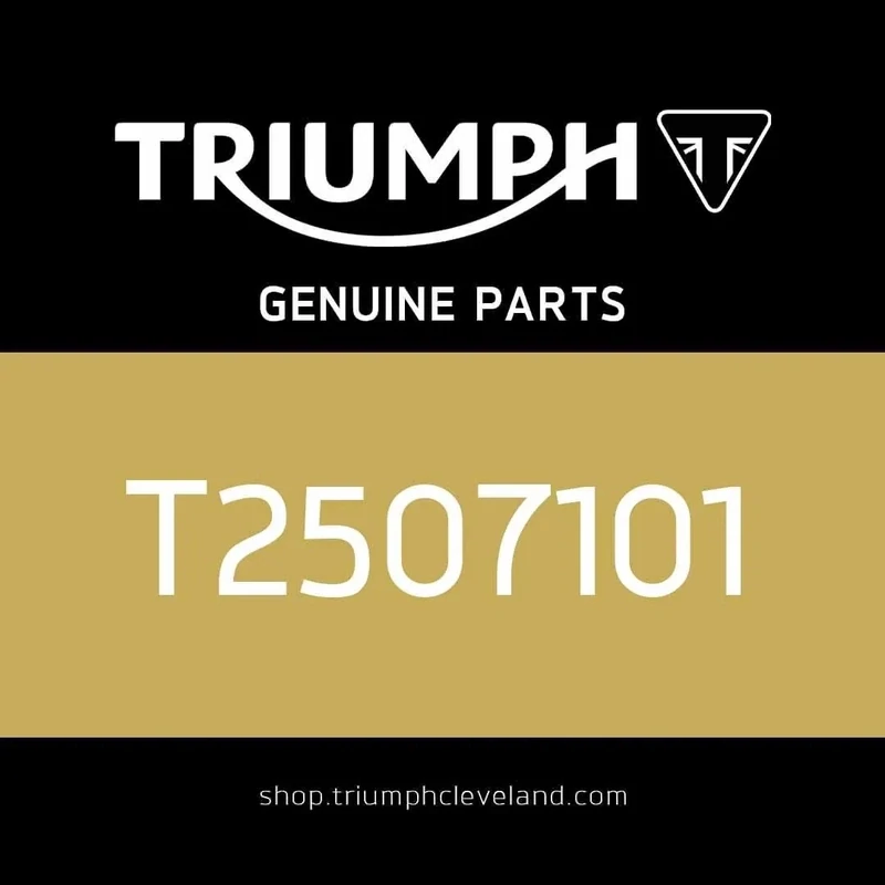 Triumph OEM Smart Key Fob Assembly - T2507101