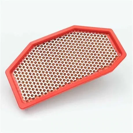 Triumph Speed Triple Air Filter - T2206602