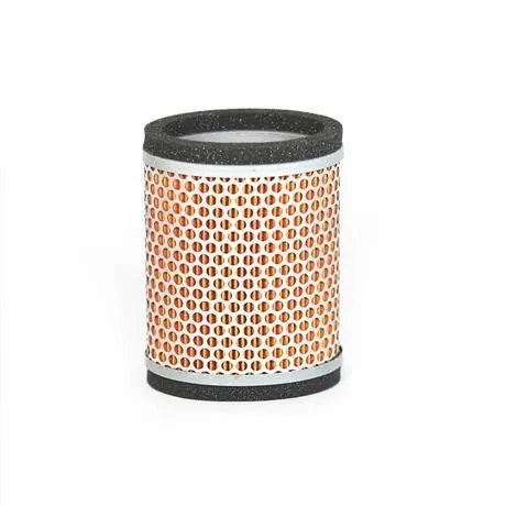 Triumph OEM America Speedmaster CARB Thunderbird Air Filter - T2202450