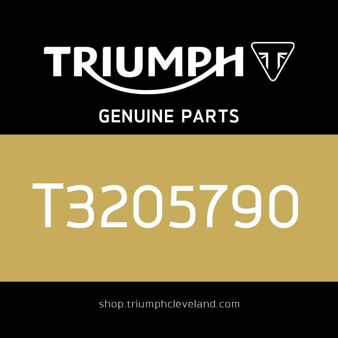 Triumph OEM Silver M8 x 25 HHF Bolt - T3205790