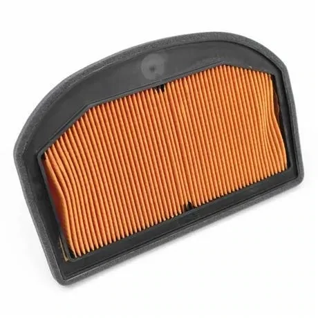 Triumph Tiger Air Filter - T2209555