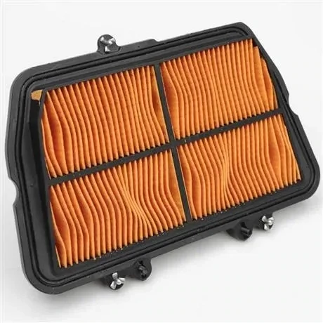Triumph OEM Tiger 800 Air Filter - T2200557
