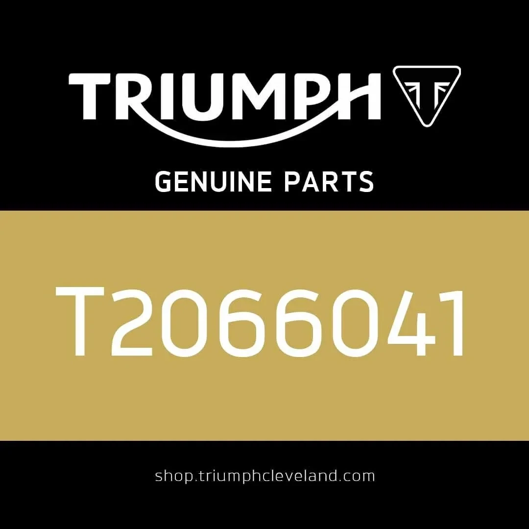 Triumph OEM LHS Mirror Assembly - T2066041