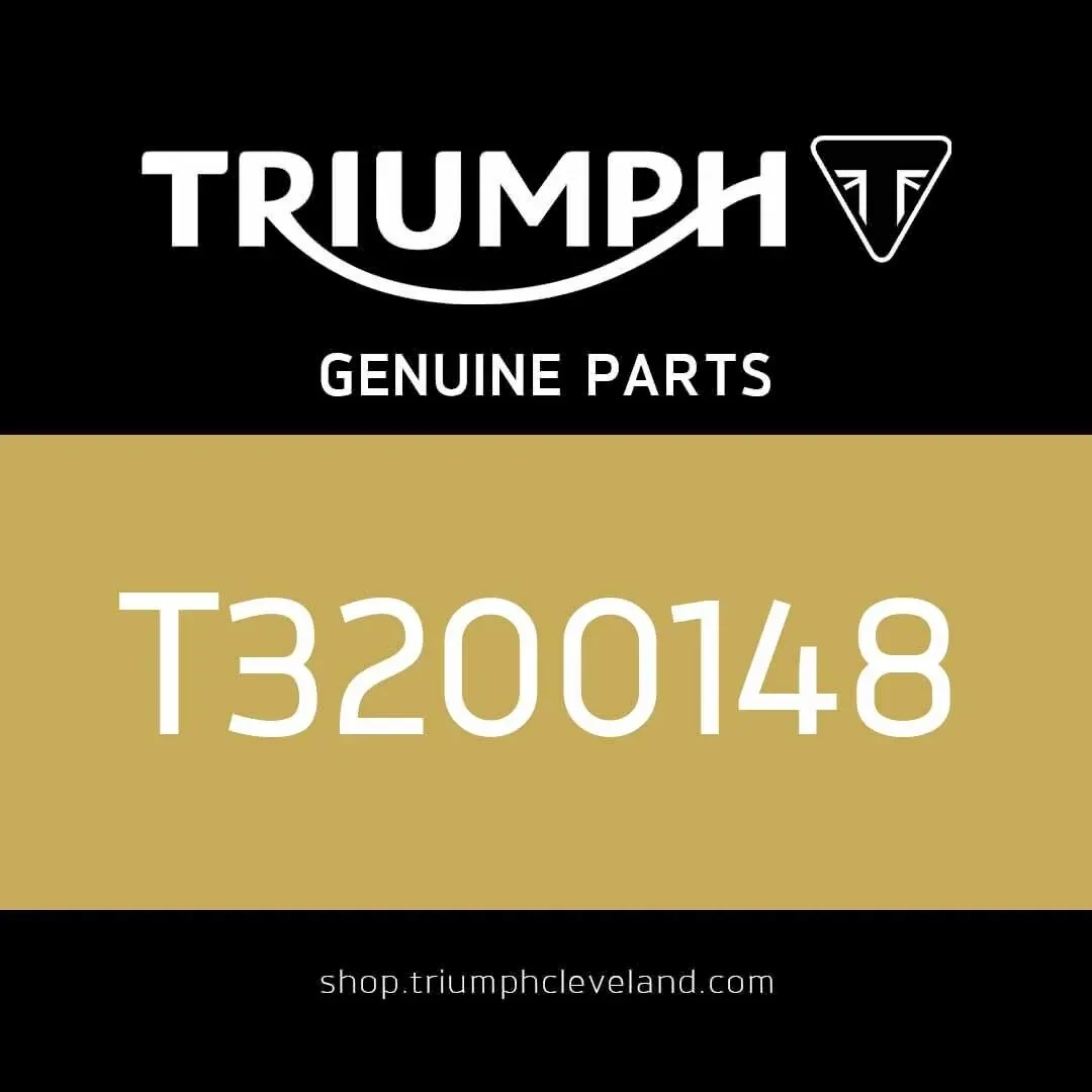 Triumph OEM Silver M6 x 30 RHHF Bolt - T3200148