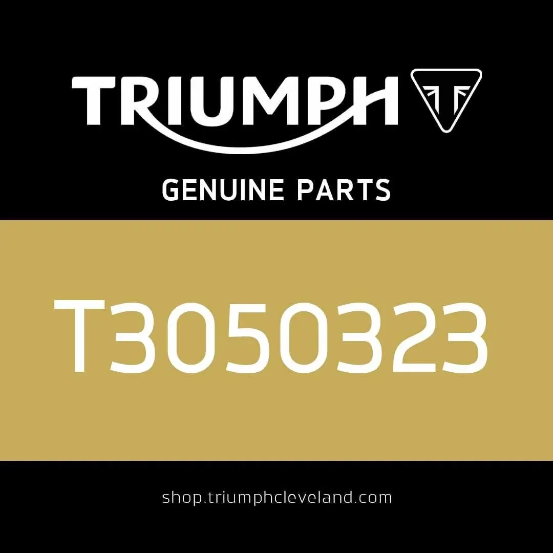 Triumph OEM Silver M8 x 30 Cap/Hd Screw - T3050323