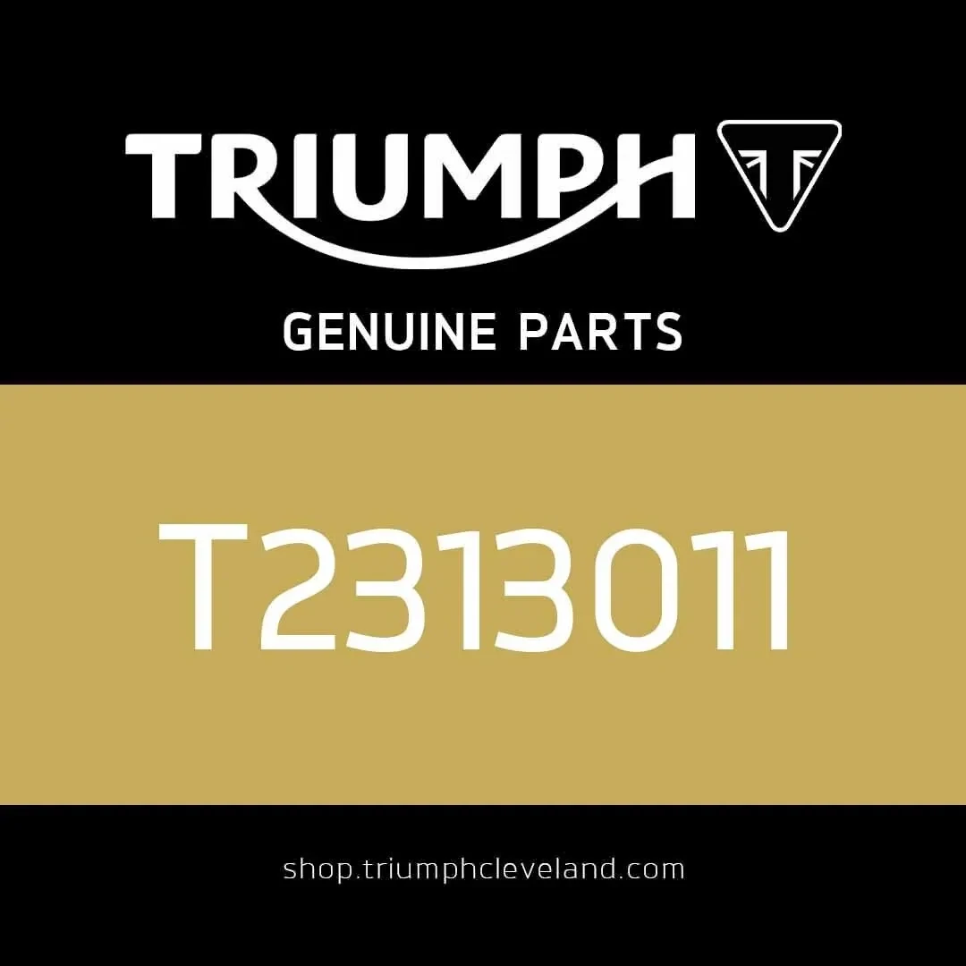 Triumph OEM Seat Bridge Molding - T2313011