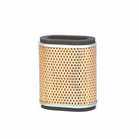 Triumph Rocket III Genuine Replacement Air Filter - T2202203