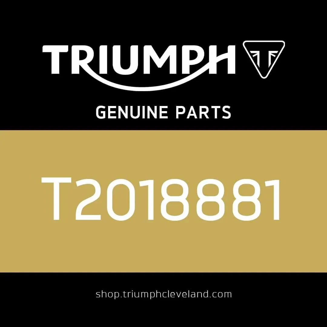 Triumph OEM Tiger 900 Rear Wheel Assembly - T2018881