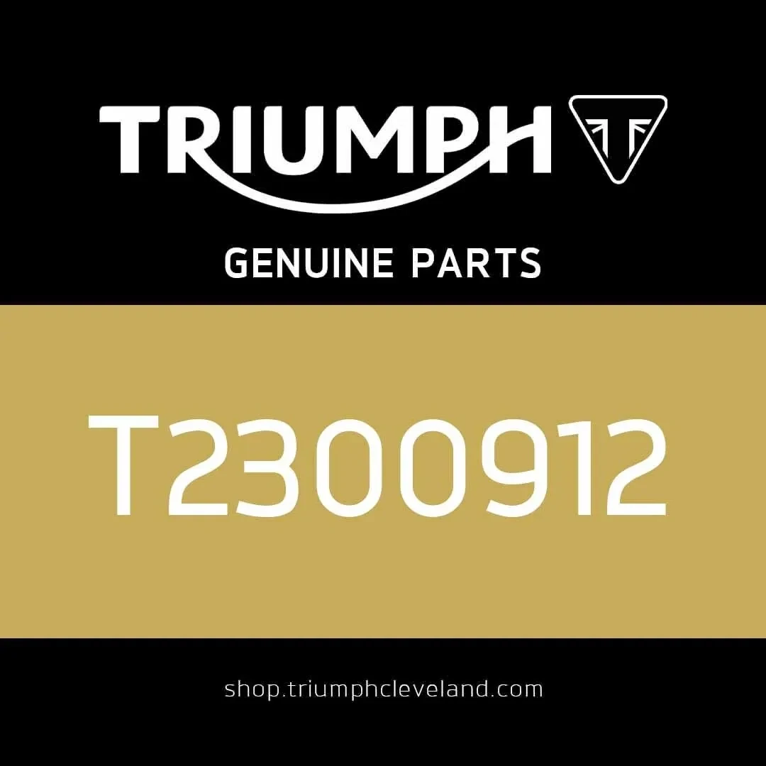Triumph OEM 4mm Allen Key - T2300912