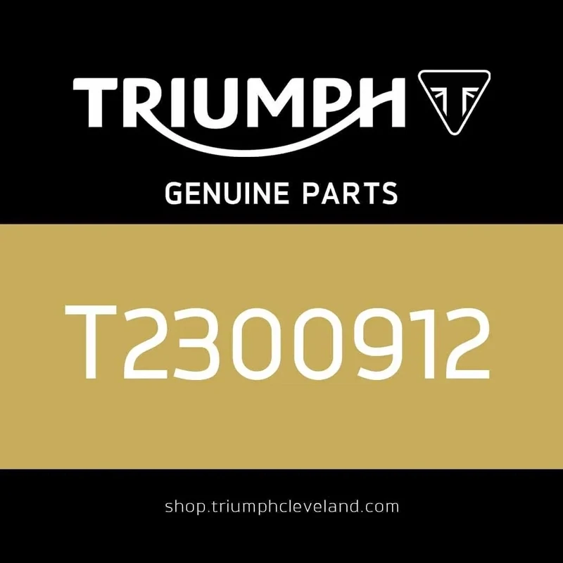Triumph OEM 4mm Allen Key - T2300912