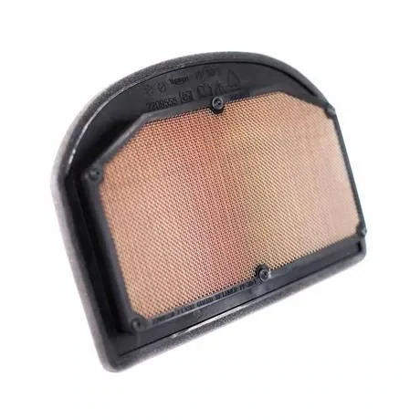 Triumph Tiger Air Filter - T2209555