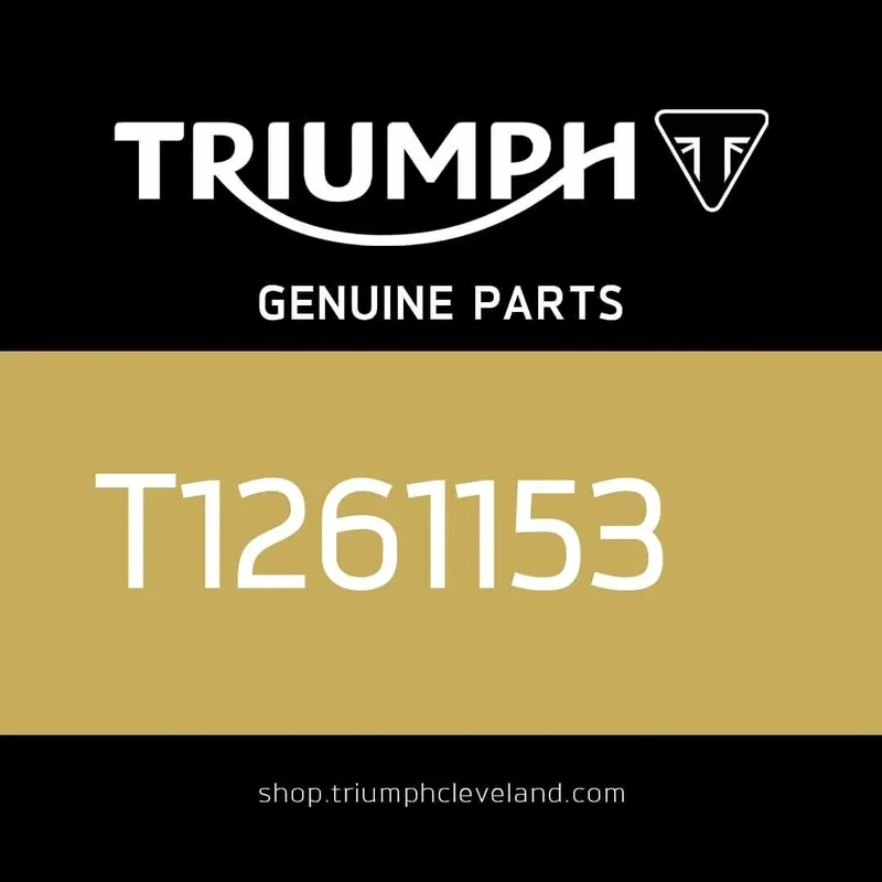Triumph Genuine OEM Speed Triple S/RS Dipstick - T1261153
