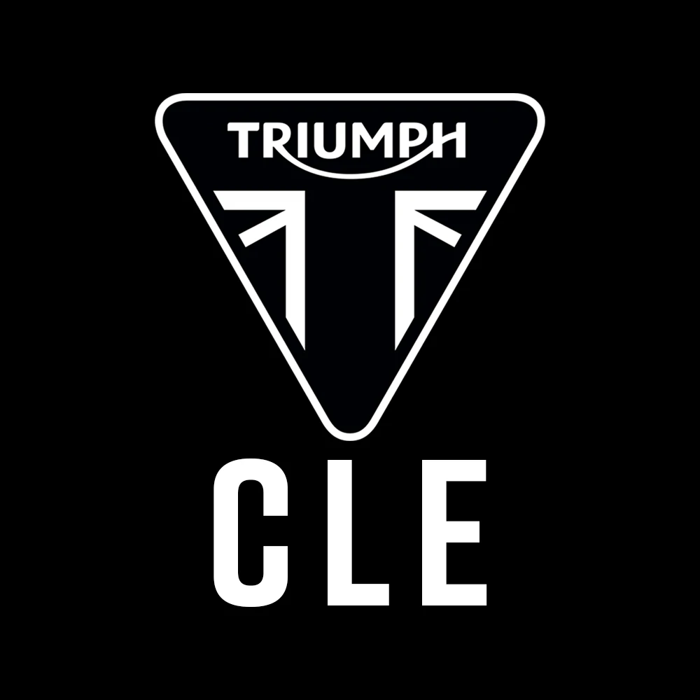 Triumph OEM Cush Drive Rubber - T2010650