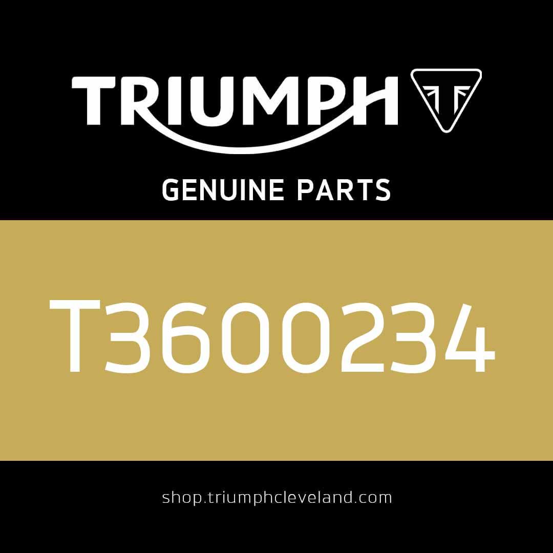 Triumph OEM Dust Seal Diameter 55 - T3600234