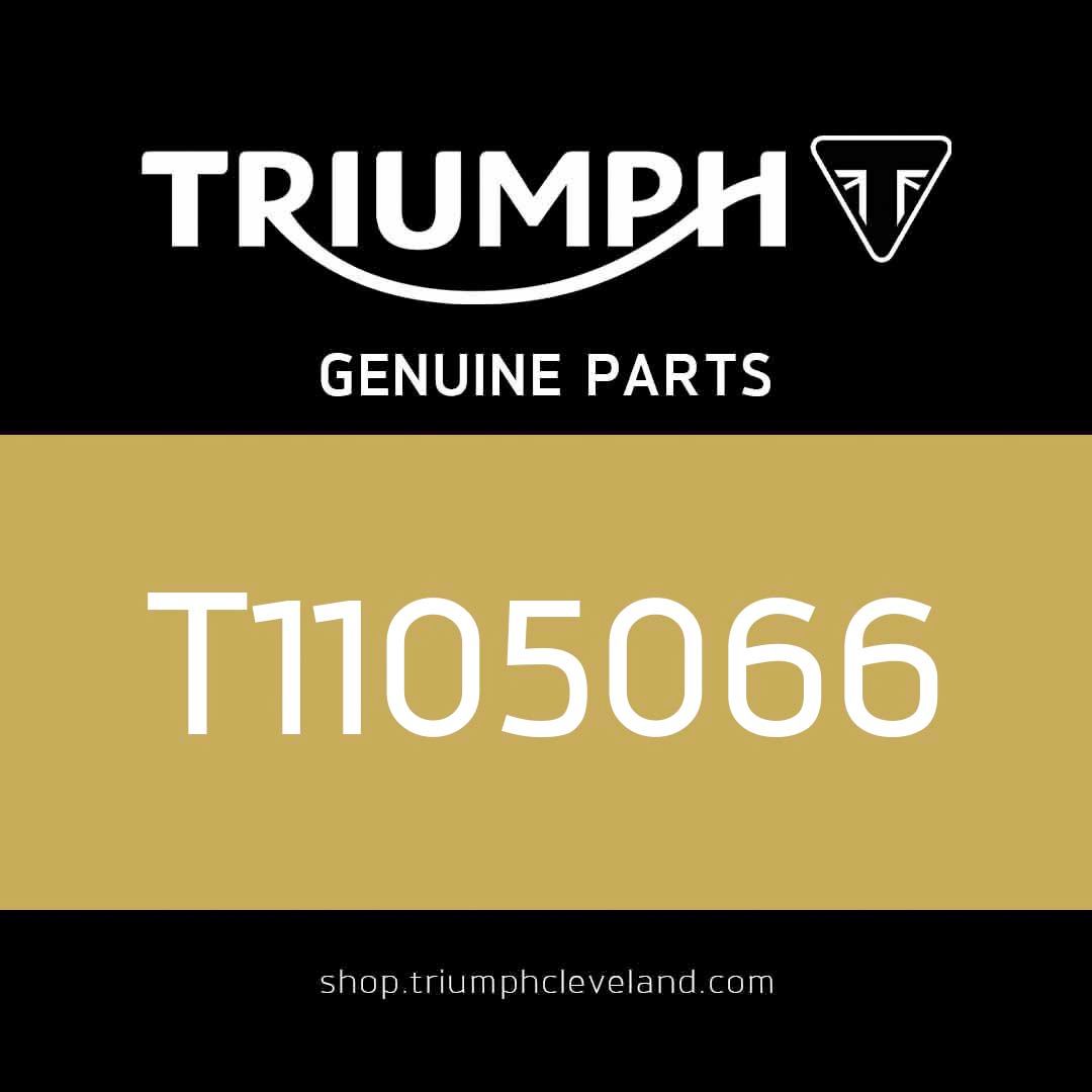 Triumph OEM Thrust Washer, ID38 x 0.3 - T1105066