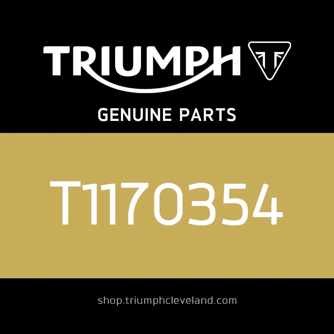 Triumph OEM Friction Disc, Clutch - T1170354