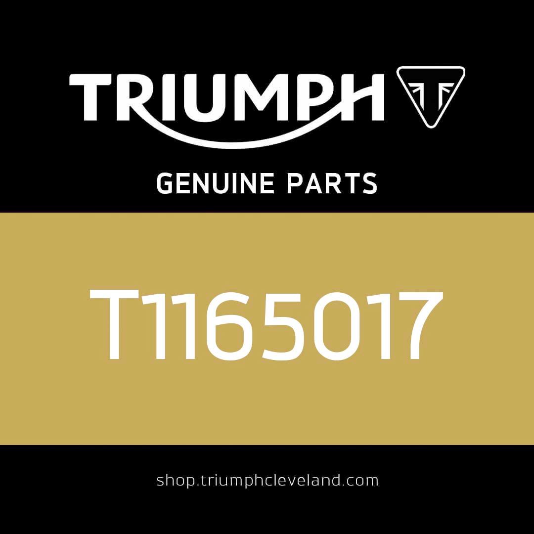 Triumph OEM Bearing Assy, 35 x 72 x 17, NJ207 - T1165017