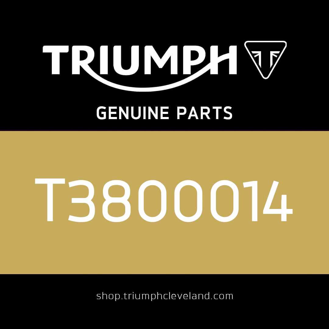 Triumph OEM Roller bearing - T3800014
