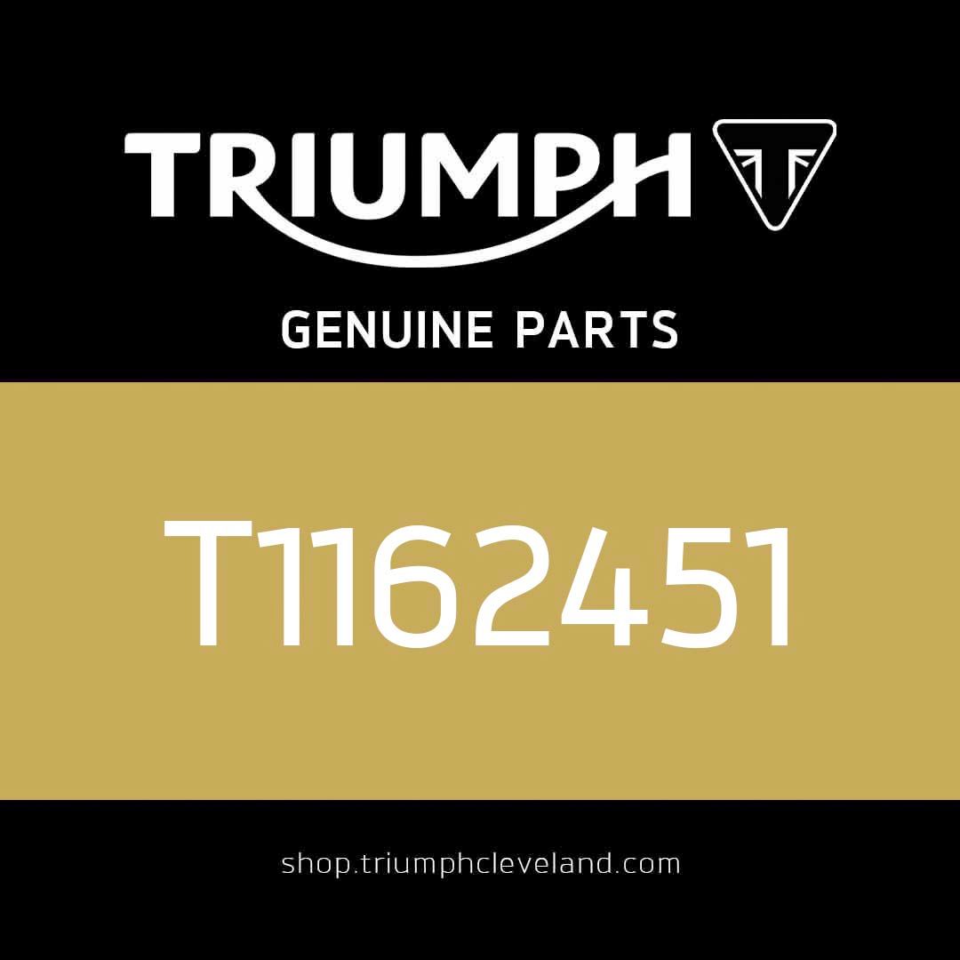 Triumph OEM Gasket, Cylinder - T1162451