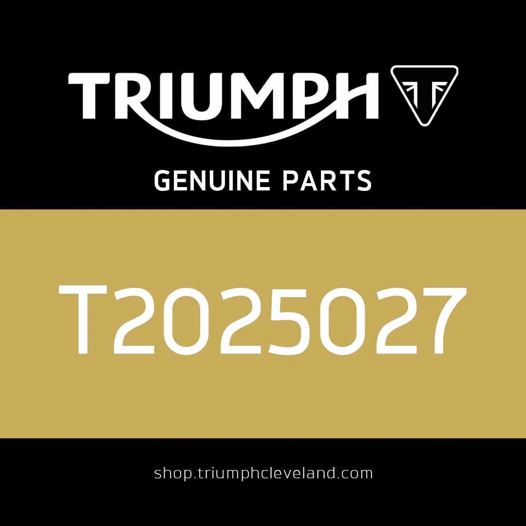 Triumph OEM Rear Master Cylinder - T2025027